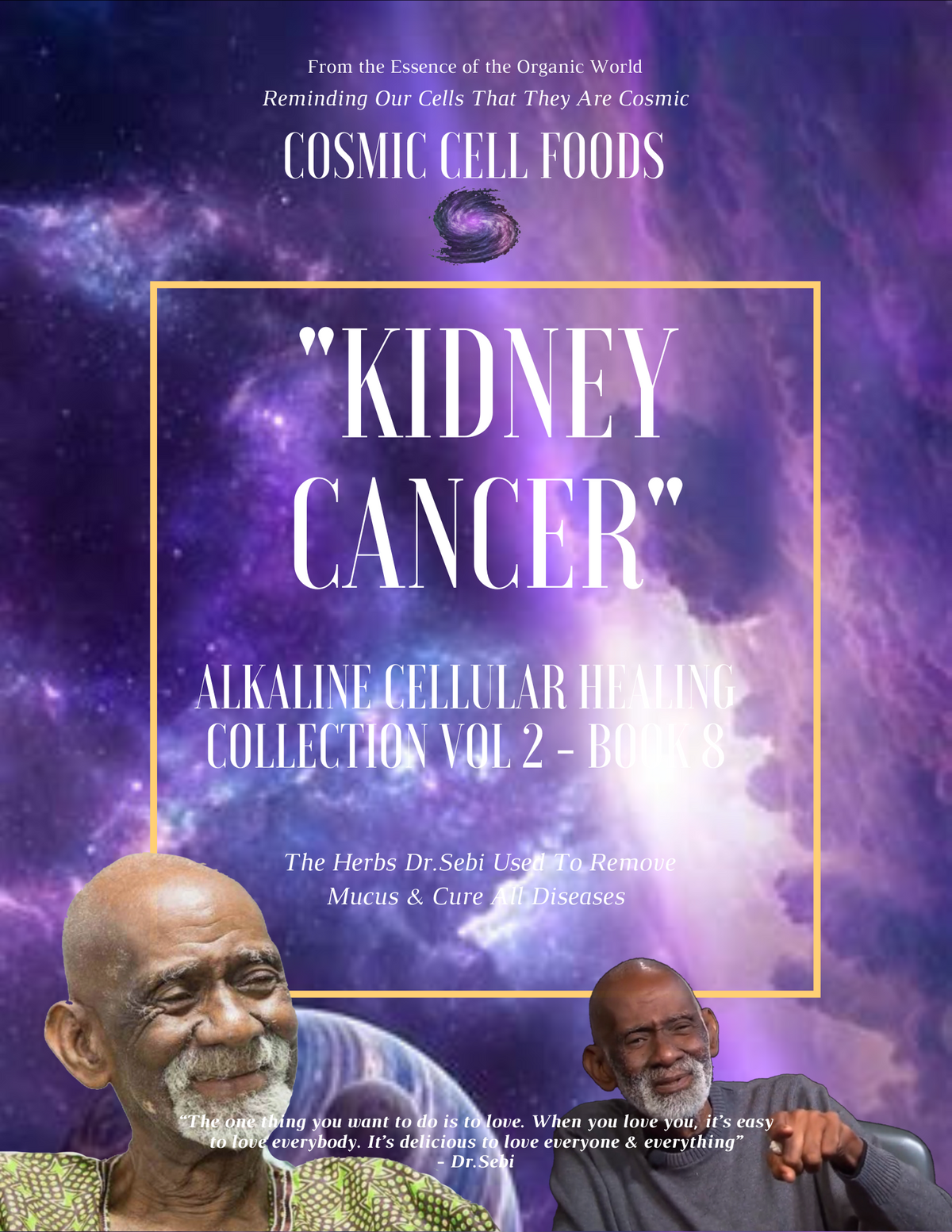 "KIDNEY CANCER" Alkaline Cellular Healing Collection Vol 2 - BOOK  8