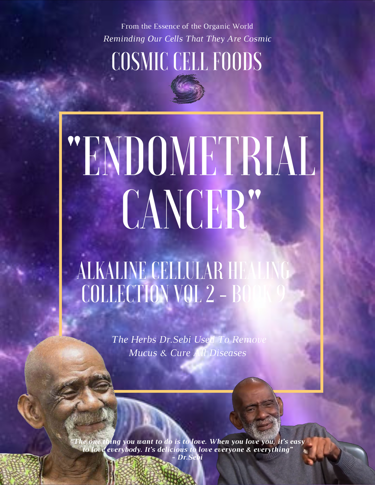"ENDOMETRIAL CANCER" Alkaline Cellular Healing Collection Vol 2 - BOOK  9