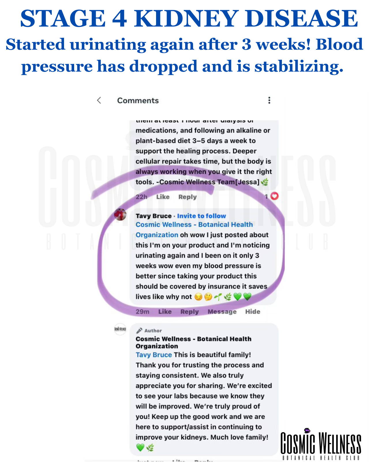CKD customer review