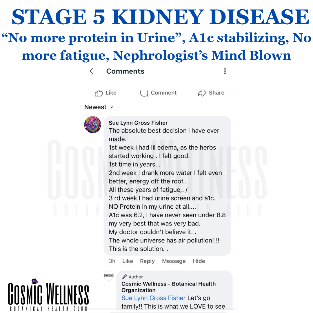 CKD customer review